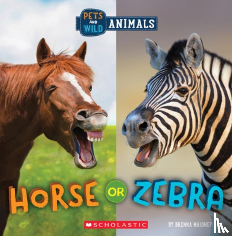 Maloney, Brenna - Horse or Zebra (Wild World: Pets and Wild Animals)