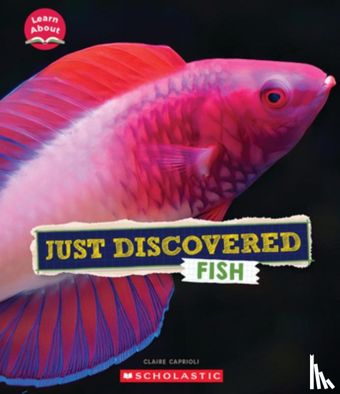 Caprioli, Claire - Just Discovered Fish (Learn About: Animals)