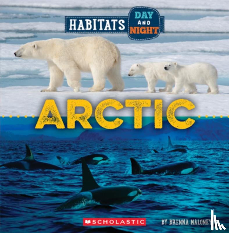 Maloney, Brenna - Arctic (Wild World: Habitats Day and Night)