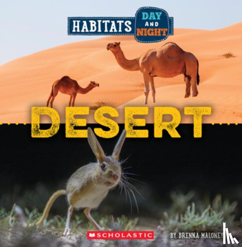 Maloney, Brenna - Desert (Wild World: Habitats Day and Night)