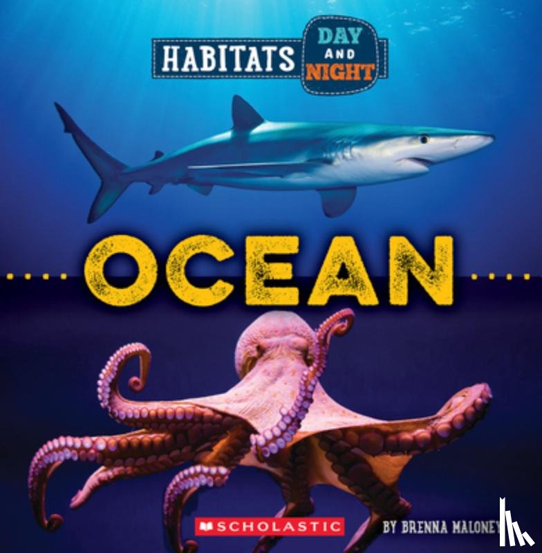 Maloney, Brenna - Ocean (Wild World: Habitats Day and Night)