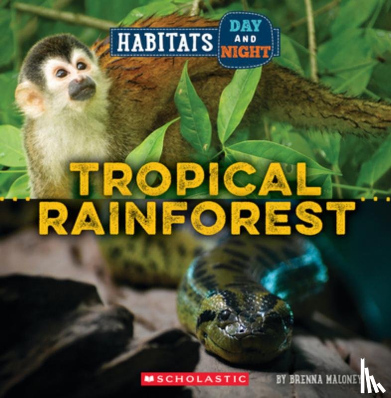 Maloney, Brenna - Tropical Rainforest (Wild World: Habitats Day and Night)