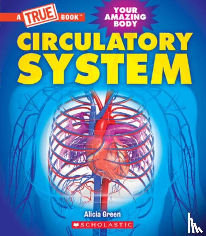 Green, Alicia - Circulatory System (a True Book: Your Amazing Body)