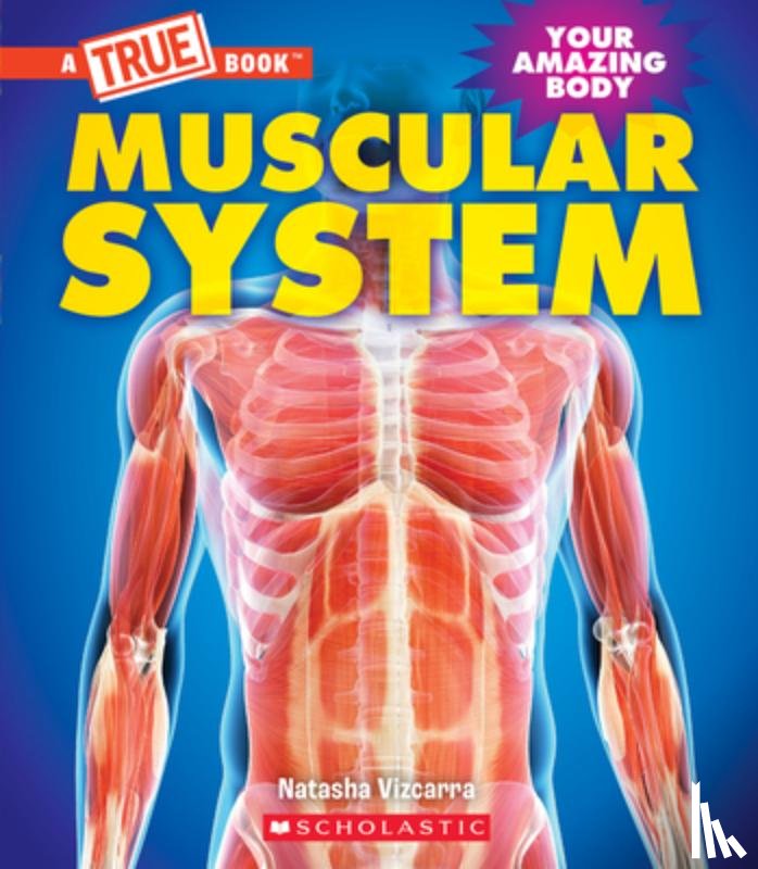 Vizcarra, Natasha - Muscular System (a True Book: Your Amazing Body)