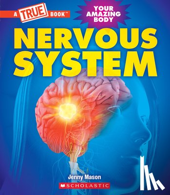 Mason, Jenny - Nervous System (a True Book: Your Amazing Body)
