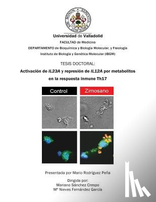 Rodríguez Peña, Mario - Activación de IL23A y represión de IL12A por metabolitos en la respuesta inmune Th17