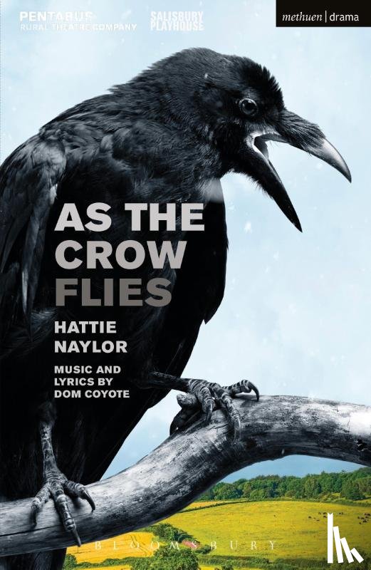 Naylor, Hattie - As the Crow Flies