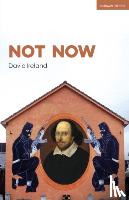 Ireland, David - Not Now