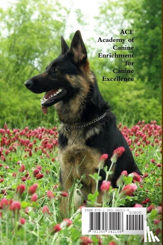 Fornes, Sandra - Research Report on Canine Environmental Enrichment