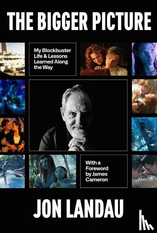 Landau, Jon - The Bigger Picture