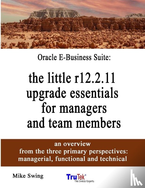 Mike Swing, Swing - Oracle E-Business Suite