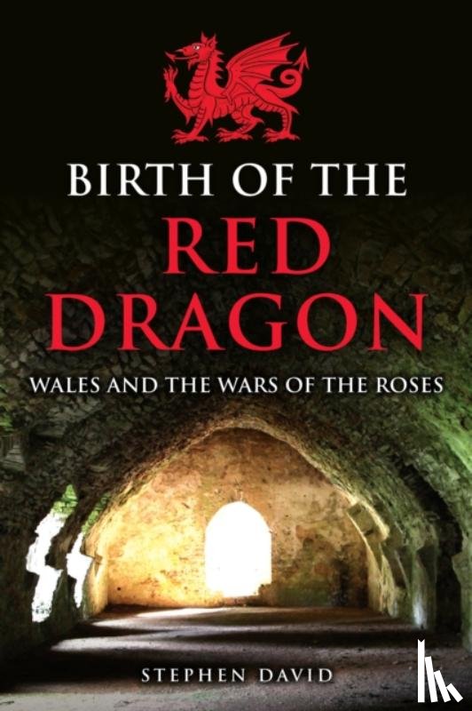David, Stephen - Birth of the Red Dragon