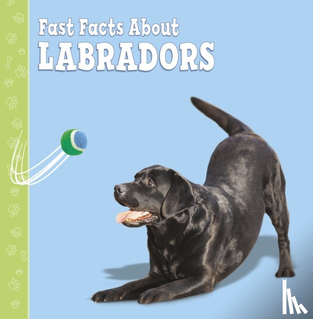 Aboff, Marcie - Fast Facts About Labradors