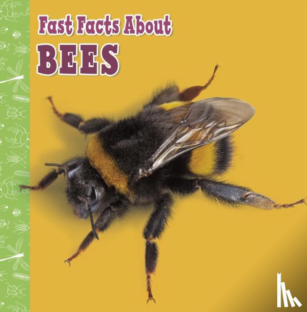 Amstutz, Lisa J. - Fast Facts About Bees