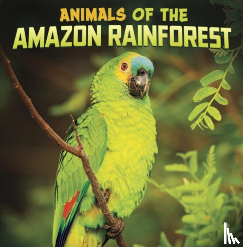 Schuh, Mari - Animals of the Amazon Rainforest