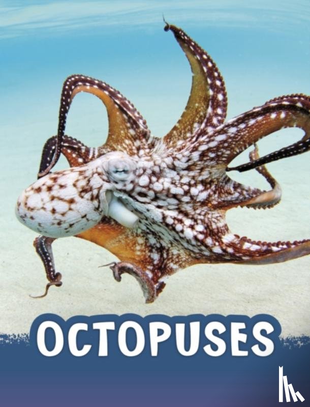 Jaycox, Jaclyn - Octopuses