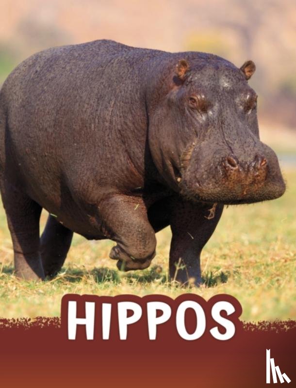 Jaycox, Jaclyn - Hippos