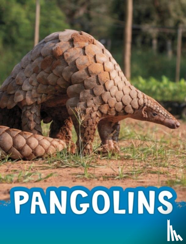 Jaycox, Jaclyn - Pangolins