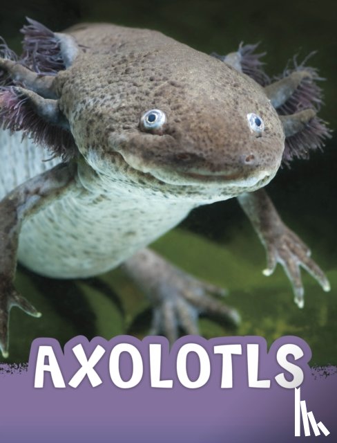 Jaycox, Jaclyn - Axolotls