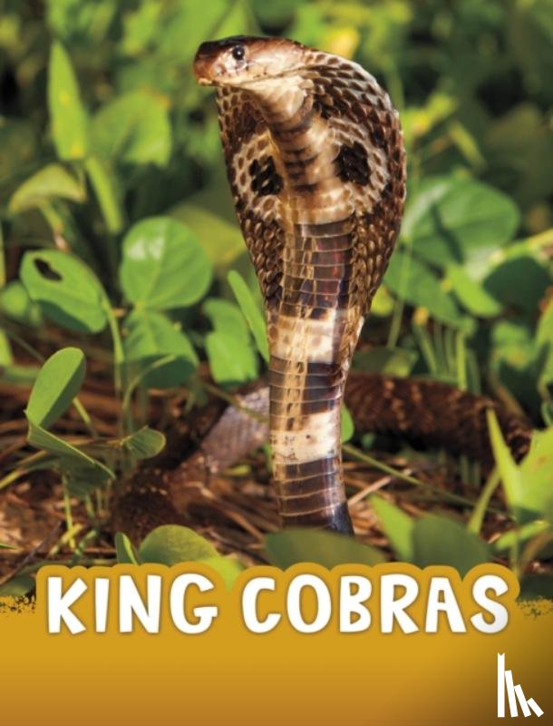 Jaycox, Jaclyn - King Cobras