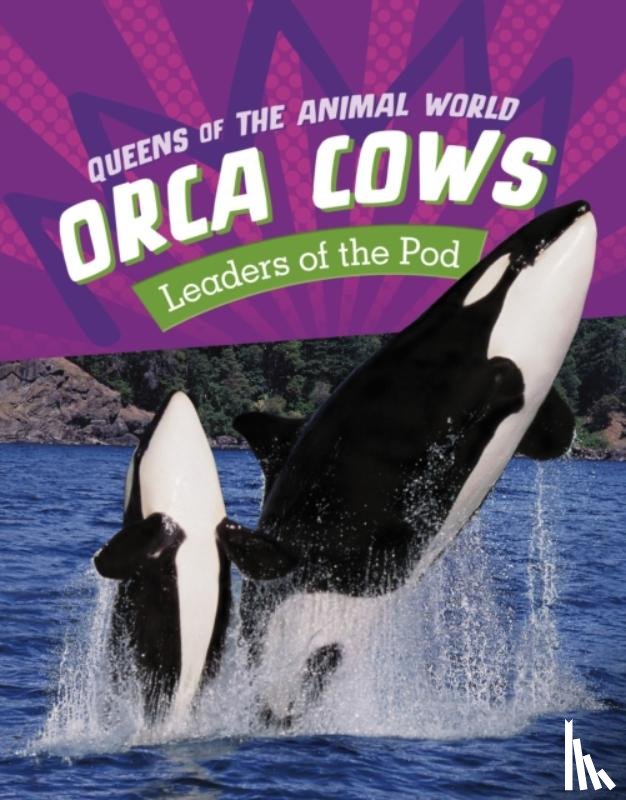 Jaycox, Jaclyn - Orca Cows