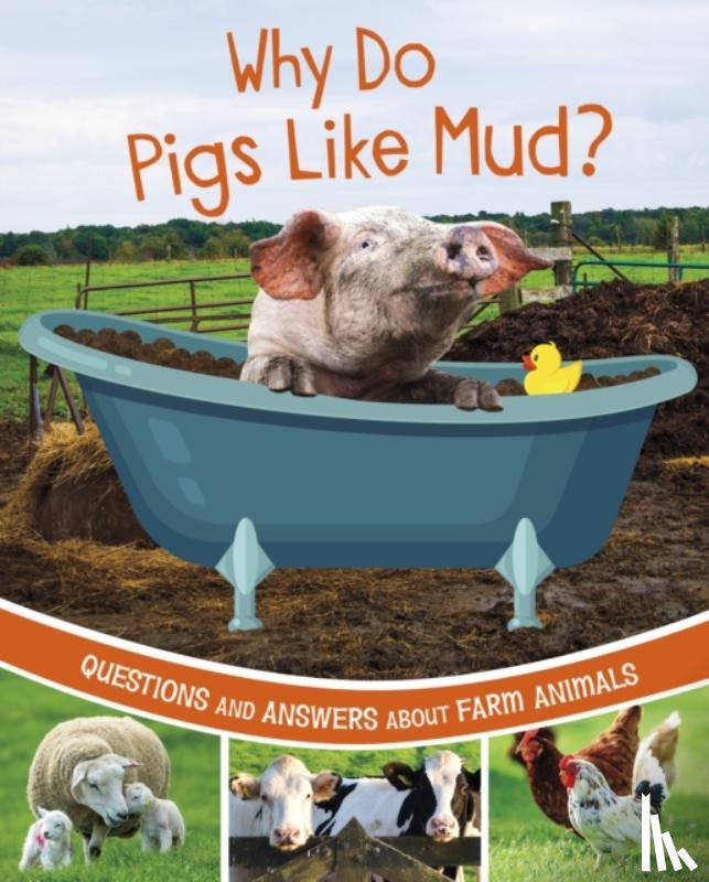 Rawson, Katherine - Why Do Pigs Like Mud?