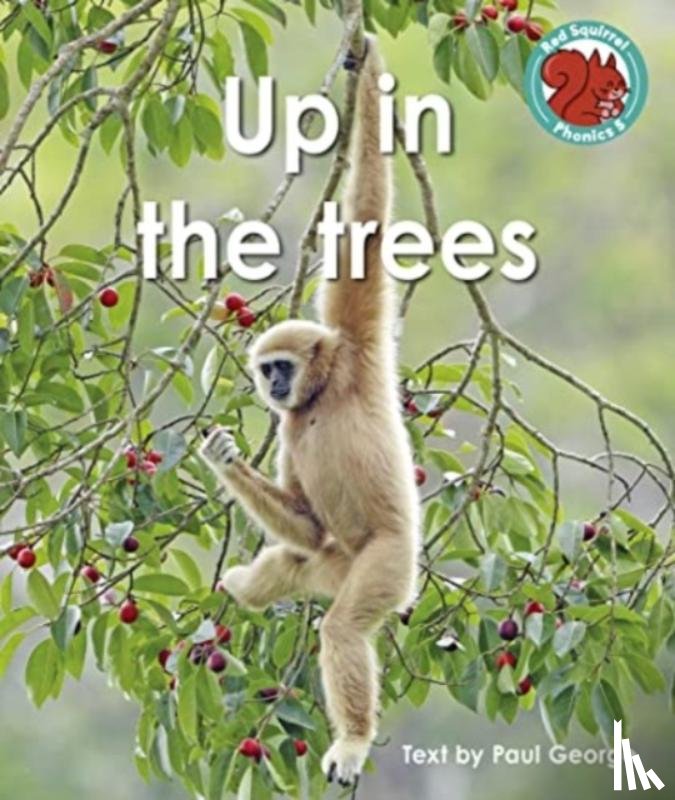 George, Paul - Up in the trees