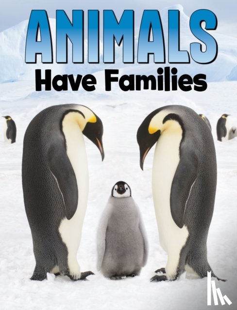 Ali, Nadia - Animals Have Families