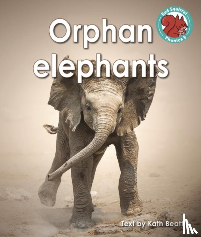 Beattie, Kath - Orphan elephants