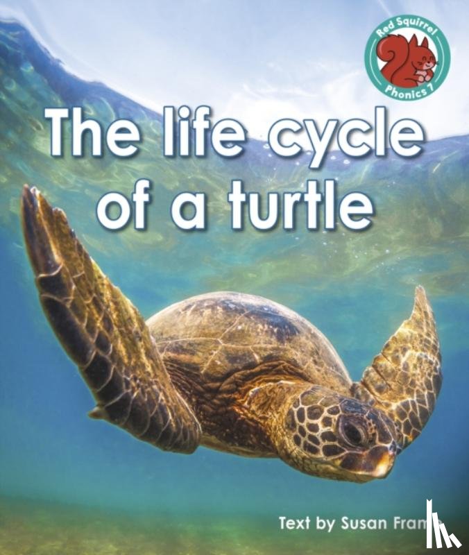 Frame, Susan - The life cycle of a turtle