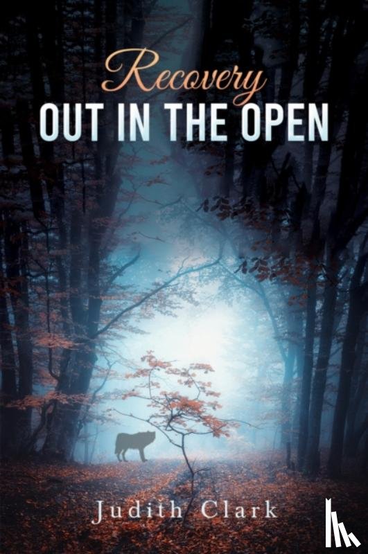 Clark, Judith - Recovery: Out in the Open