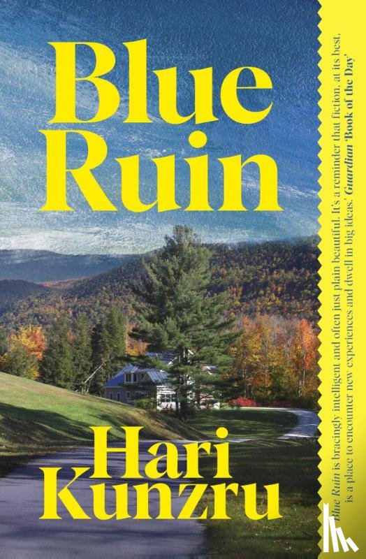 Kunzru, Hari - Blue Ruin
