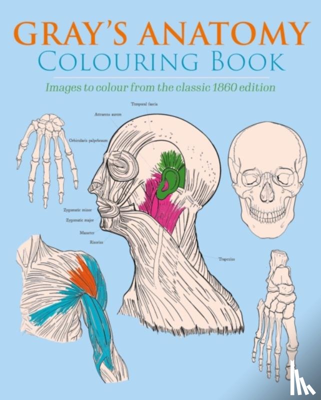 Gray, Henry, Carter, Henry - Gray's Anatomy Colouring Book