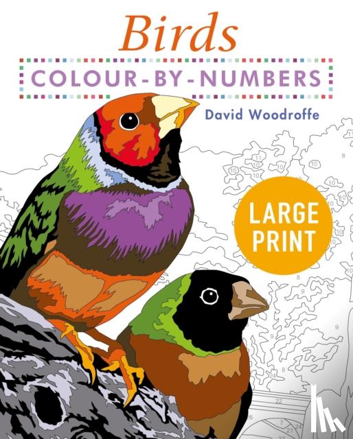 Woodroffe, David - Large Print Colour by Numbers Birds
