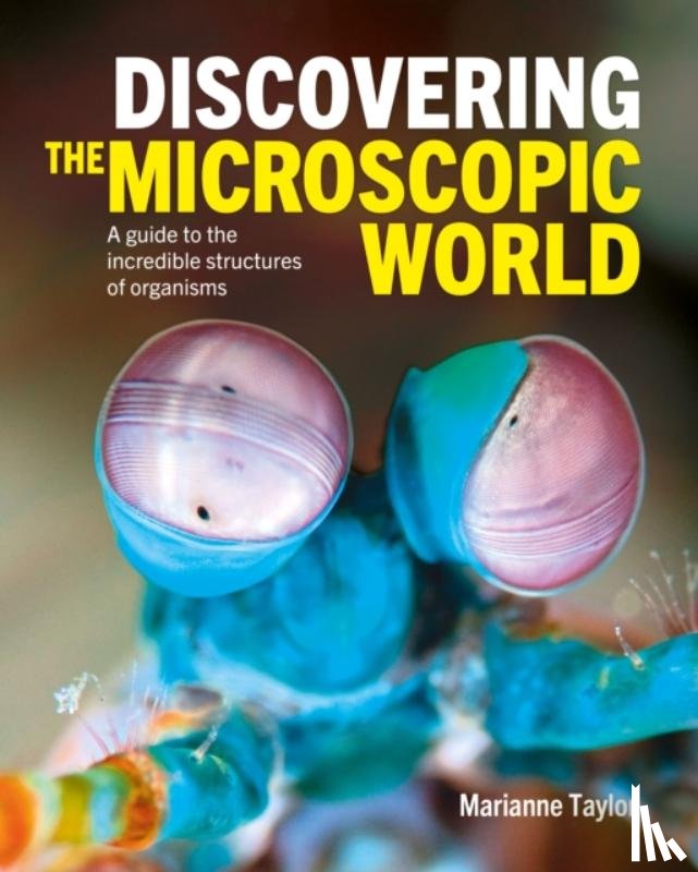 Taylor, Marianne - Discovering the Microscopic World