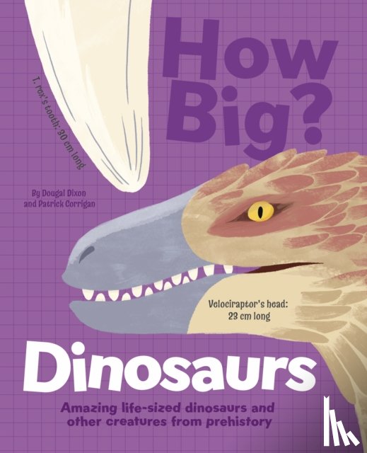 Dixon, Dougal - How Big? Dinosaurs