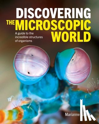 Taylor, Marianne - Discovering the Microscopic World: A Guide to the Incredible Structures of Organisms