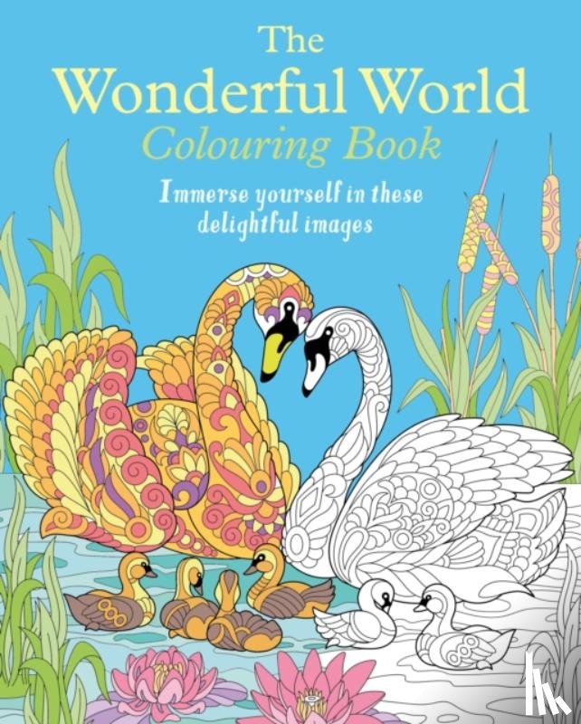 Willow, Tansy - The Wonderful World Colouring Book