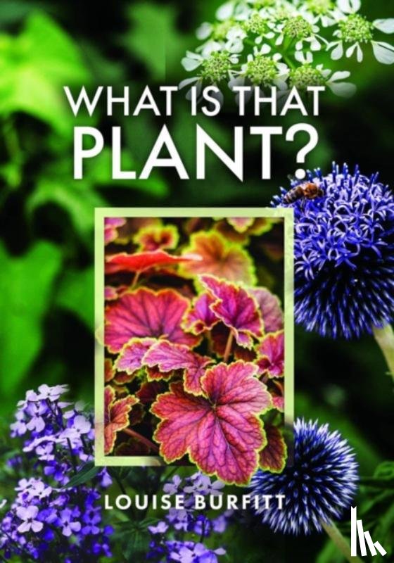 Burfitt, Louise - What is that Plant?