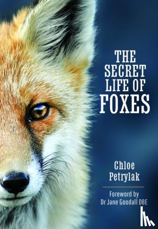 Petrylak, Chloe - The Secret Life of Foxes