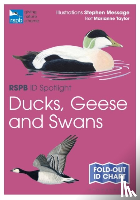 Taylor, Marianne - RSPB ID Spotlight - Ducks, Geese and Swans