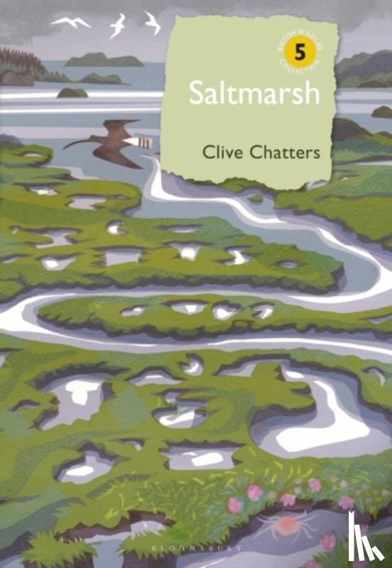 Chatters, Clive - Saltmarsh