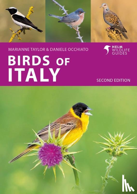 Taylor, Marianne, Occhiato, Daniele - Birds of Italy