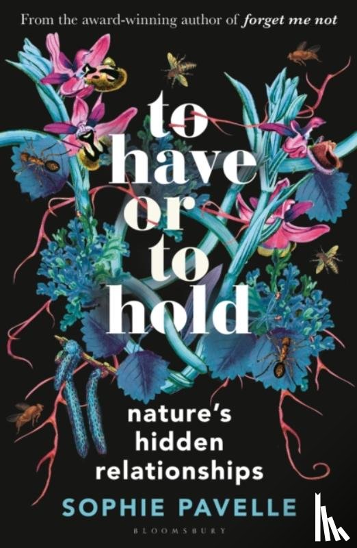 Pavelle, Sophie - To Have or To Hold