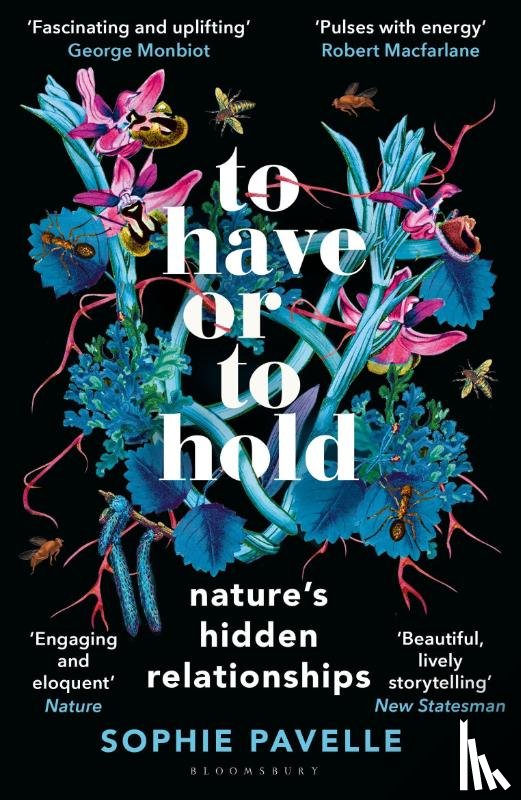 Pavelle, Sophie - To Have or To Hold