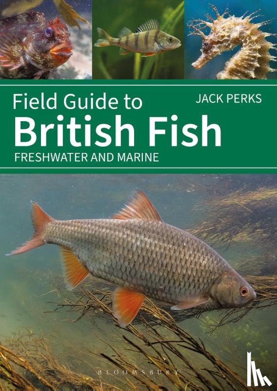 Perks, Jack - Field Guide to British Fish