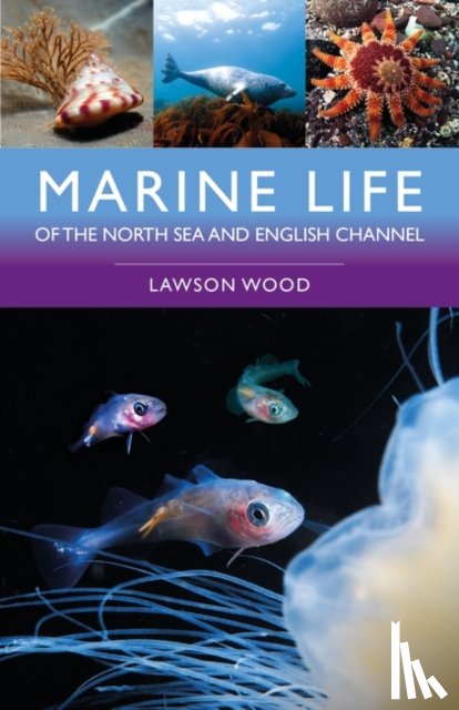 Wood, Lawson - Marine Life of the North Sea and English Channel