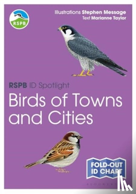 Taylor, Marianne - RSPB ID Spotlight - Birds of Towns and Cities