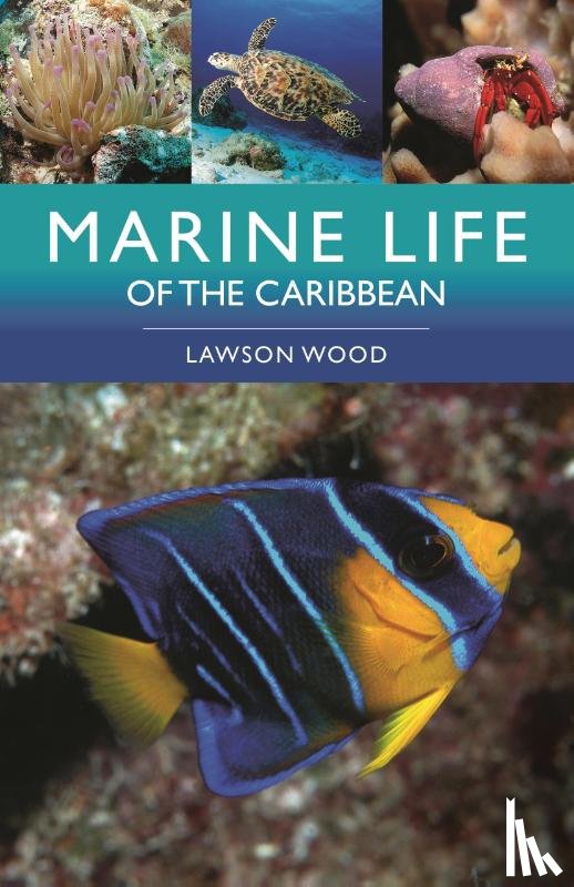Wood, Lawson - Marine Life of the Caribbean