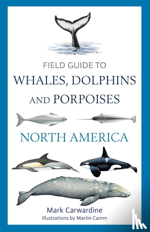 Carwardine, Mark - Field Guide to Whales, Dolphins and Porpoises of North America